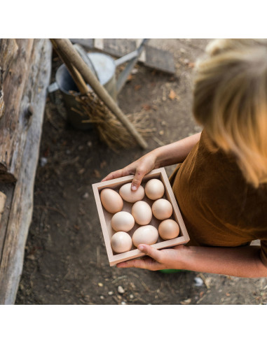 Vierkante sorteer doos