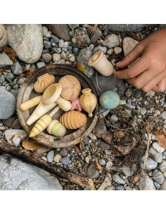 wonders natuur grapat 2