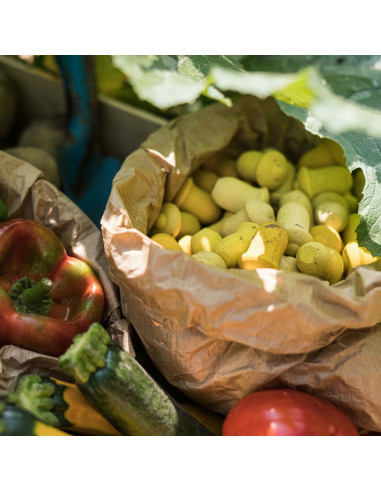 Mandala - gele tulpen