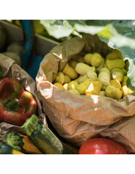 Mandala - gele tulpen