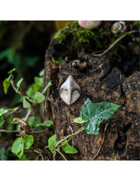 Insecten set Wild Grapat