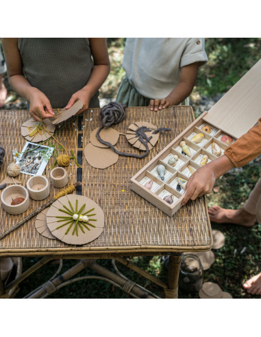 Insecten set Wild Grapat