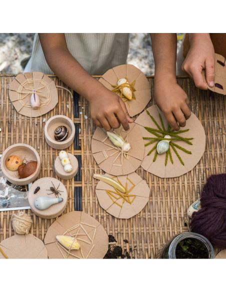 Insecten set Wild Grapat