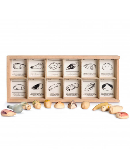 Insecten set "wild" grapat Insecten set "wild" grapat