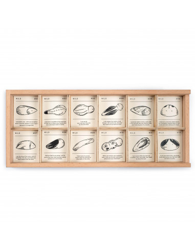 Insecten set Wild Grapat