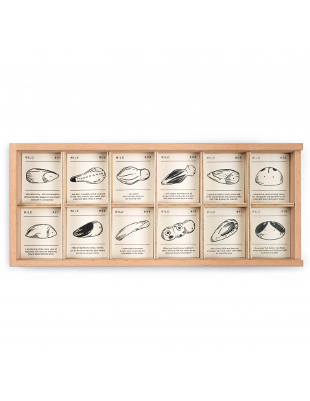 Insecten set Wild Grapat