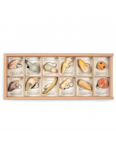 Insecten set Wild Grapat