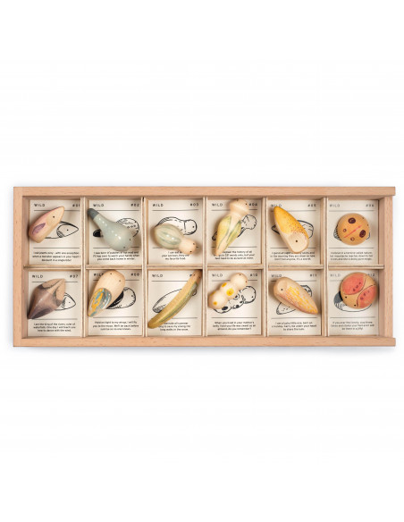 Insecten set Wild Grapat