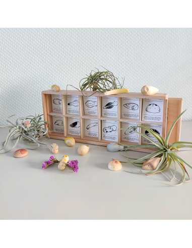 Insecten set Wild Grapat