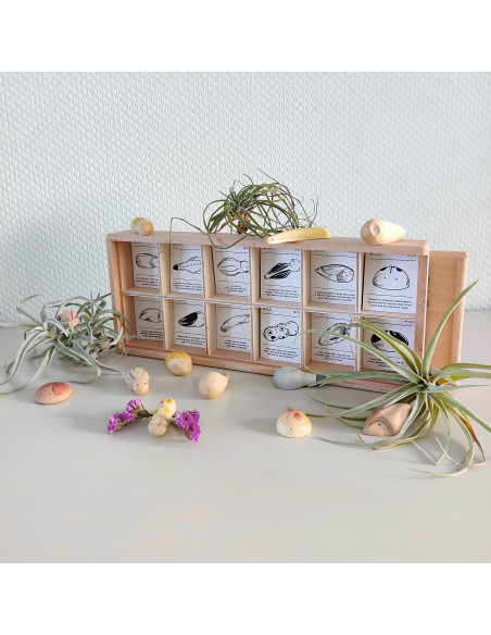 Insecten set Wild Grapat