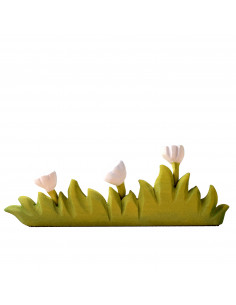 Groot gras met witte bloemen