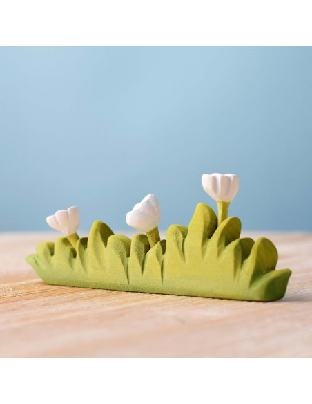 Groot gras met witte bloemen