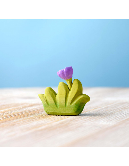 Klein gras met paarse bloem