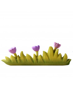 Gras groot met paarse bloemen
