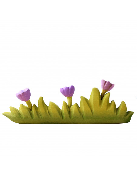 Gras groot met paarse bloemen