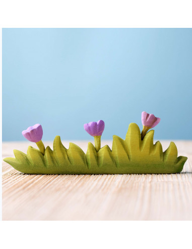 Gras groot met paarse bloemen