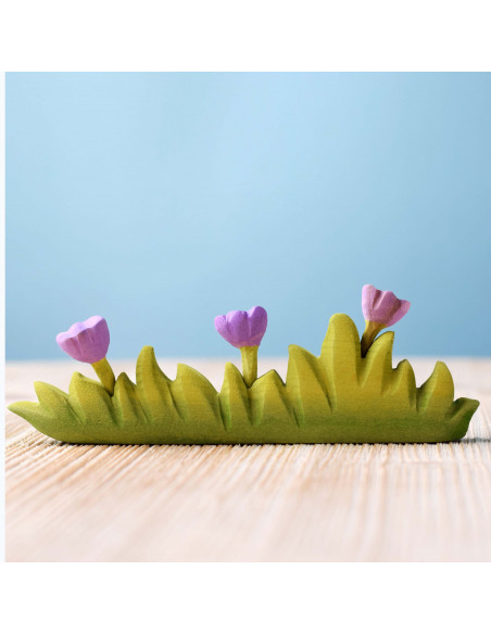 Gras groot met paarse bloemen