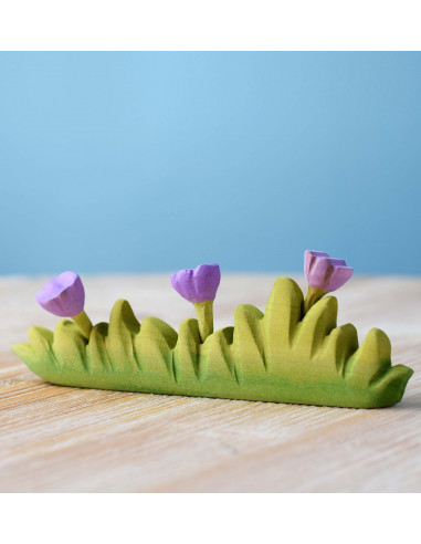 Gras groot met paarse bloemen