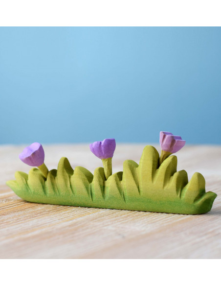 Gras groot met paarse bloemen