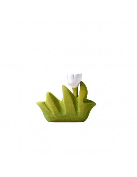 Gras klein met witte bloem