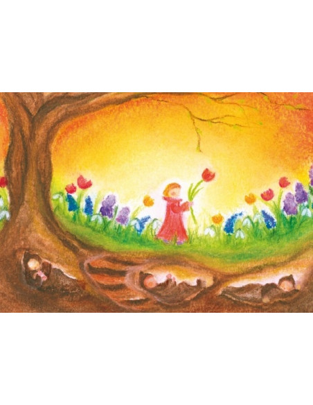 Ansichtkaart wortelkindjes Baukje Exler