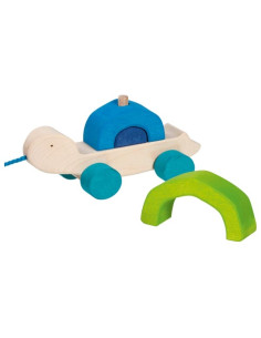 Trekdier schildpad 2