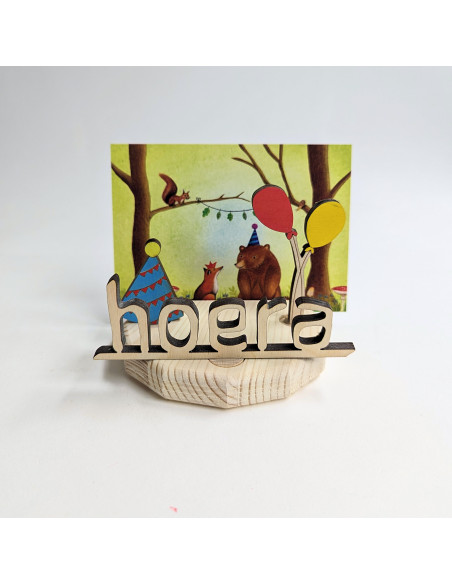 12-hoekige kaart- en steker houder