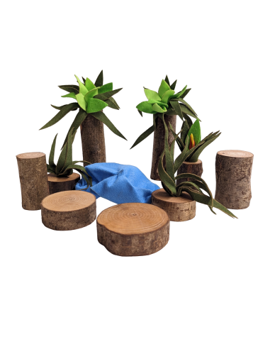 Waterval- en plantenset