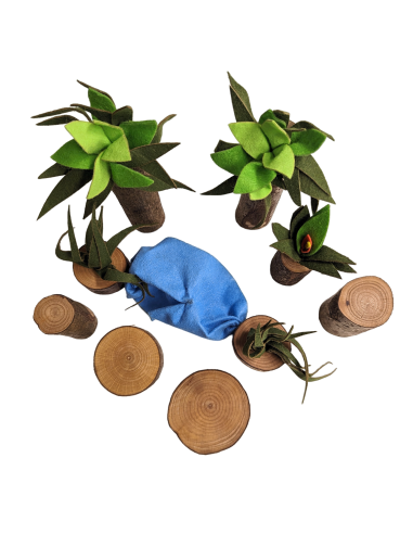 Waterval- en plantenset