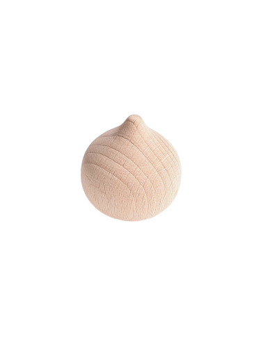 Knutsel struik modern