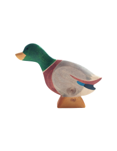 Eend man Holzwald 2