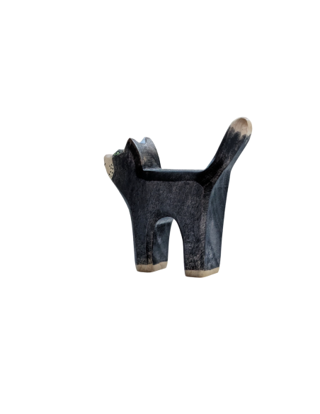 Zwarte kat Holzwald
