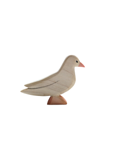 Witte duif Holzwald 2