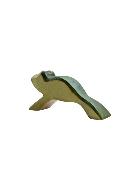 Springende kikker Holzwald