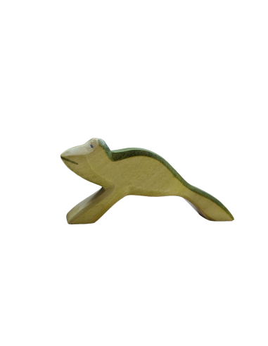 Springende kikker Holzwald