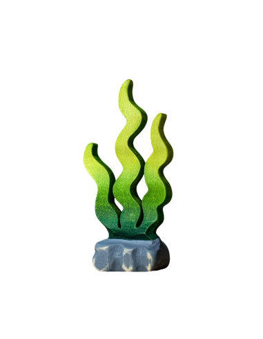 Zeewier groen