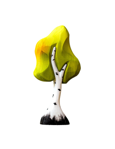 Kleine berkenboom