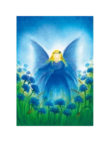 Ansichtkaart vlindervrouwtje Baukje Exler