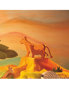 Leeuwin Ostheimer 2