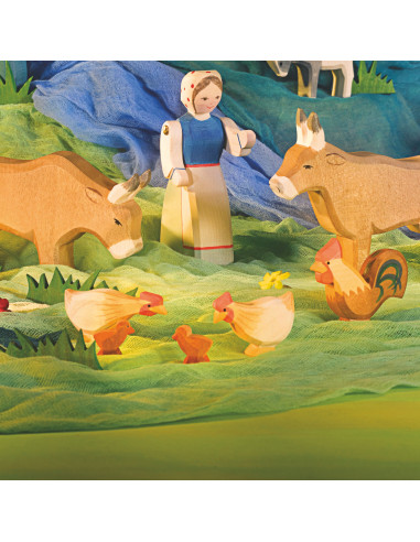 Kuiken donker Ostheimer