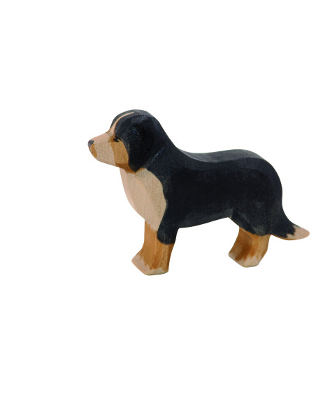 Bernen sennenhond Ostheimer