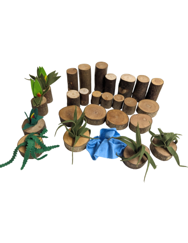 Waterval- en plantenset groot