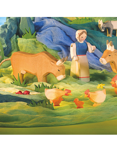 Kip lang met oker Ostheimer