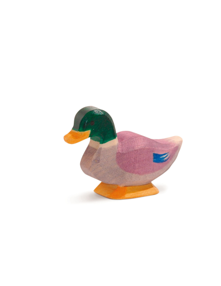 Mannetjes eend Ostheimer