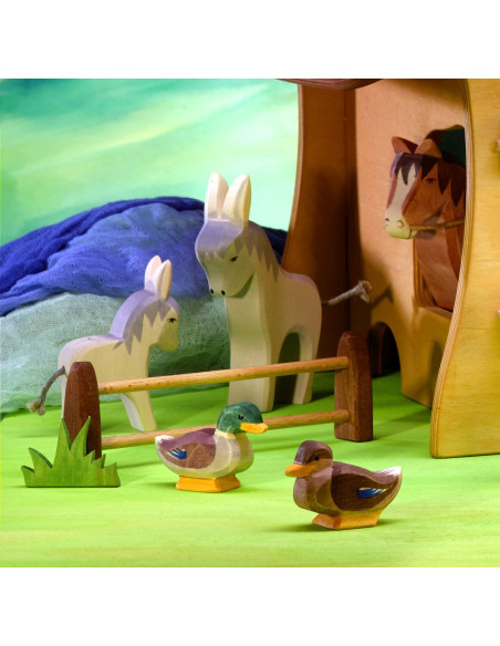 Mannetjes eend Ostheimer