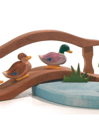 Mannetjes eend Ostheimer