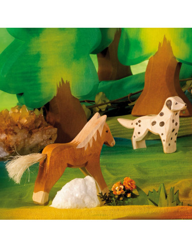 Dalmatiër Ostheimer