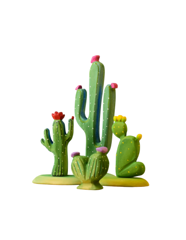 Houten cactus set