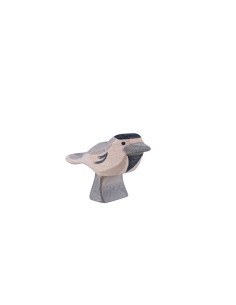 Kwikstaart vogel Ostheimer 2