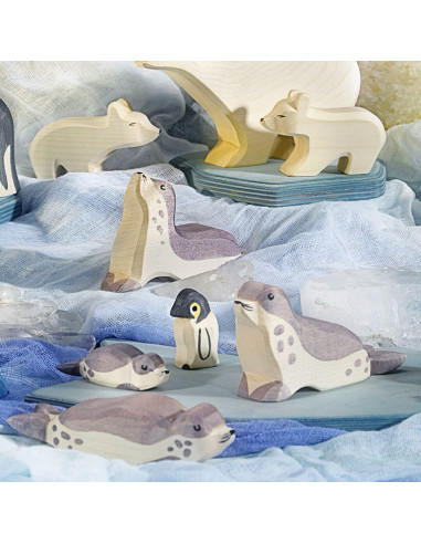 Kleine zeehond Ostheimer